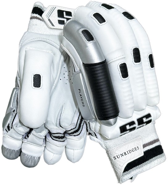 SS Players Edition Cricket Batting Gloves_697274e3b4a56.jpg